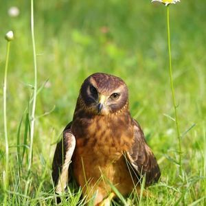 Meet your Posher, Isabelle